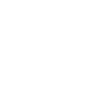 Hemi Parts King